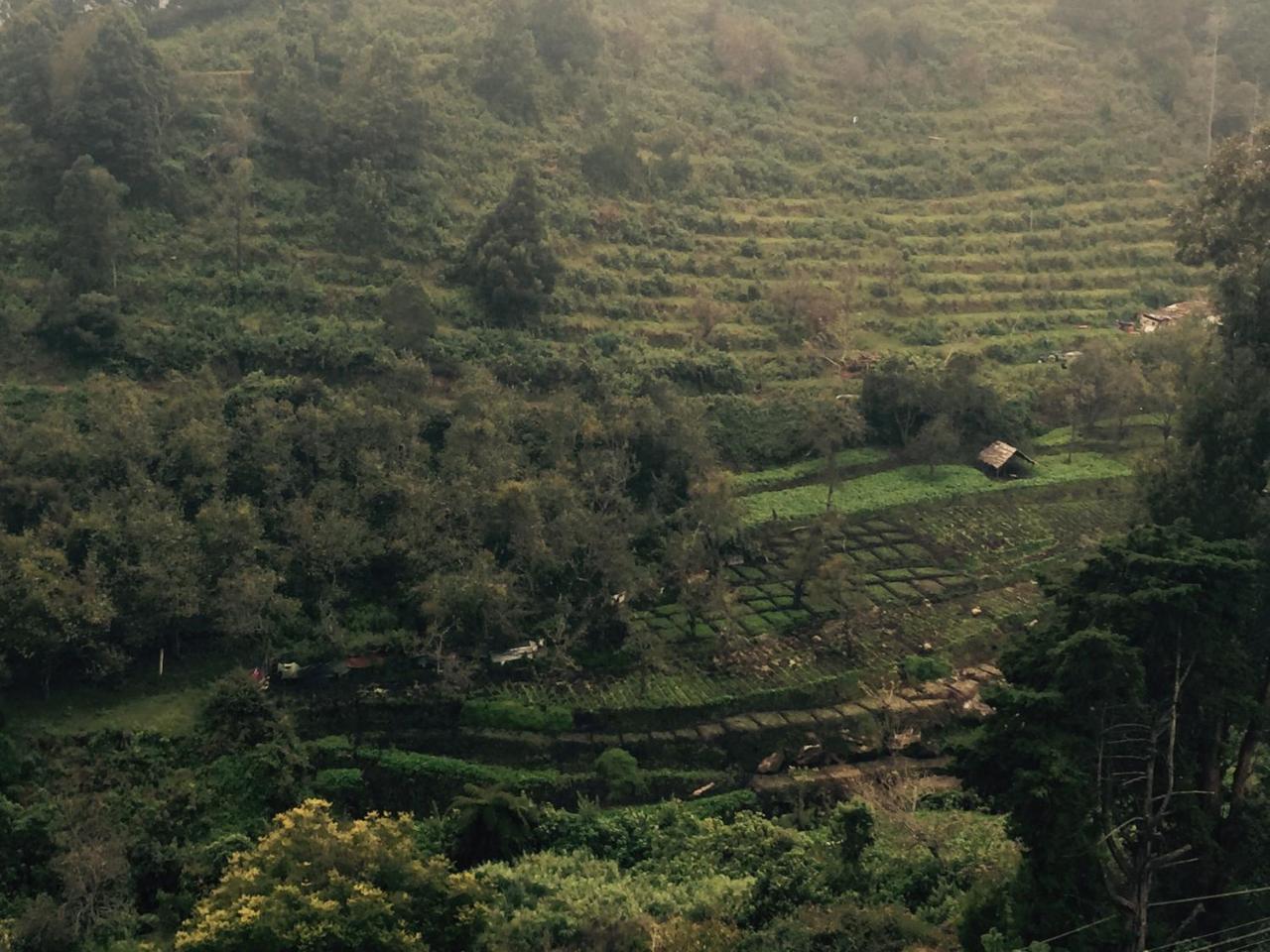 Zion Elite Residency Hotel Tamilnadu - Tamilnadu - Kodaikanal Exterior foto